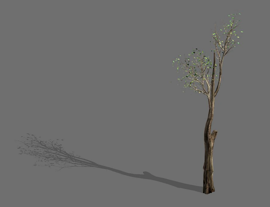 big tree-plant-wood 012 3D Model .c4d .max .obj .3ds .fbx .stl .blend 