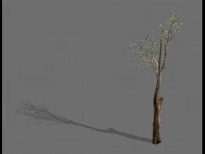 grande albero-pianta-legno 012 Modello 3D