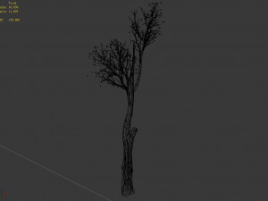big tree-plant-wood 012 3D Model