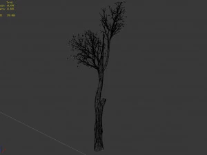 big tree-plant-wood 012 3D Model