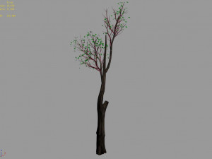 big tree-plant-wood 012 3D Model
