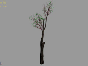 big tree-plant-wood 012 3D Model