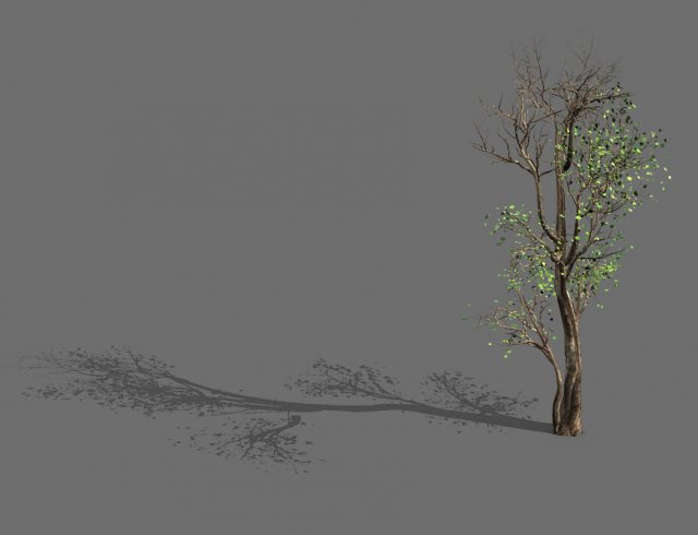 big tree-plant-wood 014 3D Model .c4d .max .obj .3ds .fbx .stl .blend 