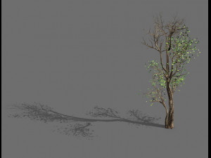 big tree-plant-wood 014 Modelo 3D