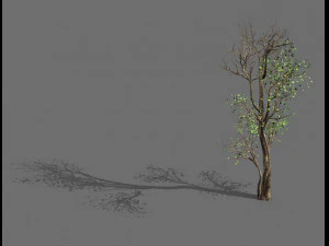 большое дерево-растение-лес 014 3D Модель