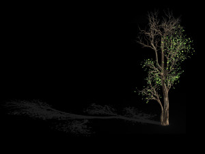 big tree-plant-wood 014 3D Model