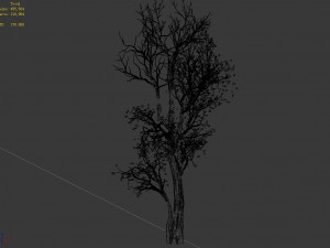 big tree-plant-wood 014 3D Model