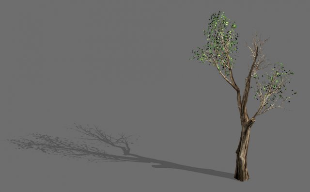 big tree-plant-wood 032 3D 모델 .c4d .max .obj .3ds .fbx .stl .blend