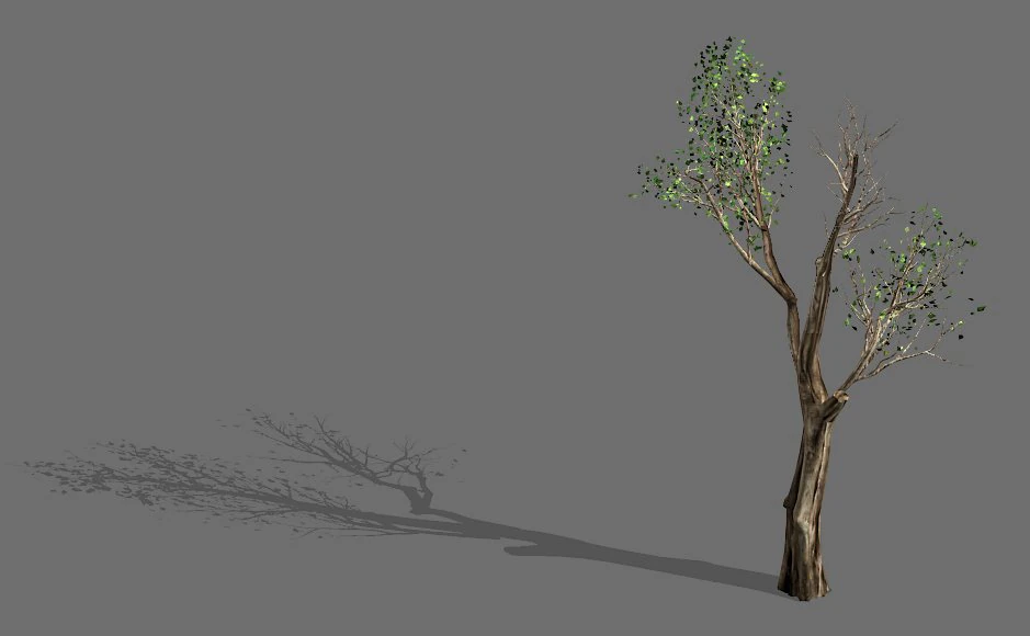 big tree-plant-wood 032 3D Model .c4d .max .obj .3ds .fbx .stl .blend