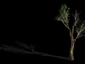 big tree-plant-wood 032 3D Model