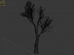 big tree-plant-wood 032 3D 모델