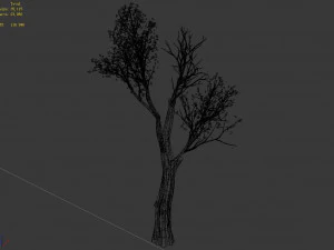 big tree-plant-wood 032 3D Model