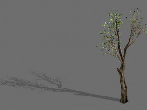 big tree-plant-wood 045 3D Модель