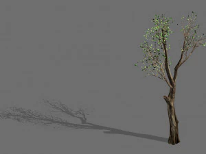 grande albero-pianta-legno 045 Modello 3D