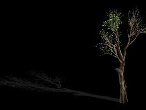 big tree-plant-wood 045 Model 3D