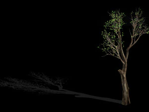 big tree-plant-wood 045 3D Model