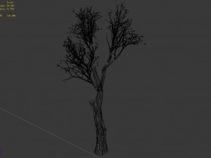 big tree-plant-wood 045 Model 3D