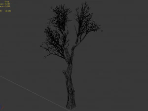 big tree-plant-wood 045 3D Model