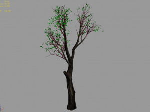 big tree-plant-wood 045 Model 3D