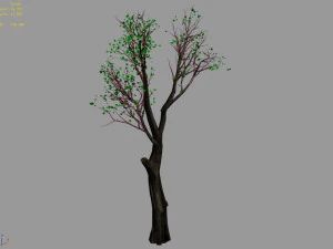 big tree-plant-wood 045 3D Model