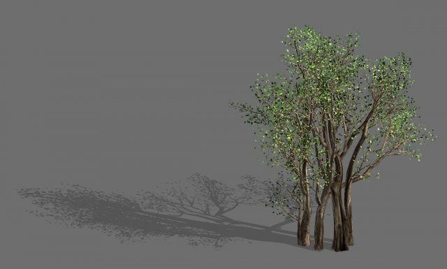 big tree-plant-wood 056 3Dモデル .c4d .max .obj .3ds .fbx .stl .blend