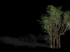 big tree-plant-wood 056 3Dモデル