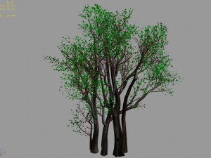 big tree-plant-wood 056 3Dモデル