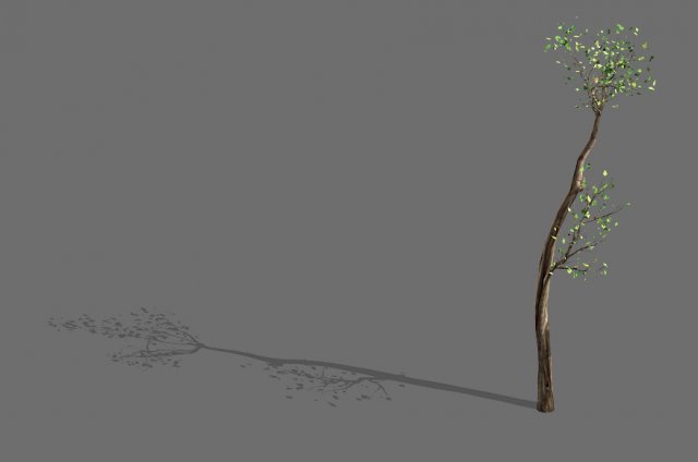 big tree-plant-wood 065 3D Model .c4d .max .obj .3ds .fbx .stl .blend