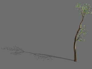 big tree-plant-wood 065 3Dモデル