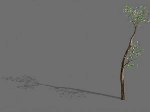 grote boom-plant-hout 065 3D Model