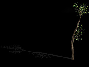 big tree-plant-wood 065 3D Model
