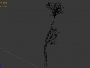 big tree-plant-wood 065 3D Model