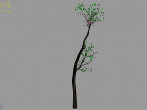 big tree-plant-wood 065 3D Model