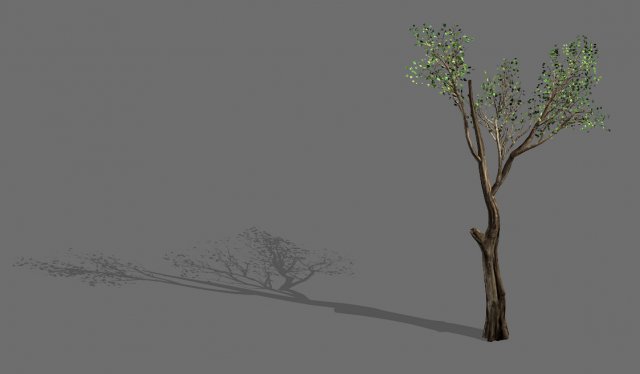 big tree-plant-wood 075 3D मॉडल .c4d .max .obj .3ds .fbx .stl .blend 
