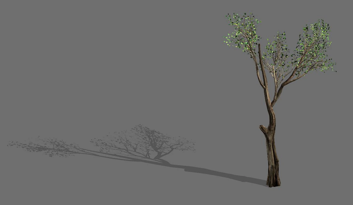 big tree-plant-wood 075 3D Model .c4d .max .obj .3ds .fbx .stl .blend 