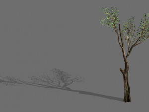 big tree-plant-wood 075 3D Model