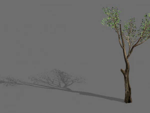 gran arbol-planta-madera 075 Modelo 3D