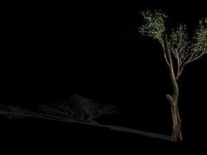 big tree-plant-wood 075 3D मॉडल