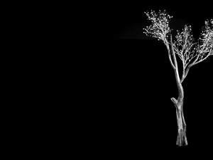 big tree-plant-wood 075 3D मॉडल