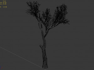 big tree-plant-wood 075 3D मॉडल