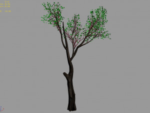 big tree-plant-wood 075 3D मॉडल