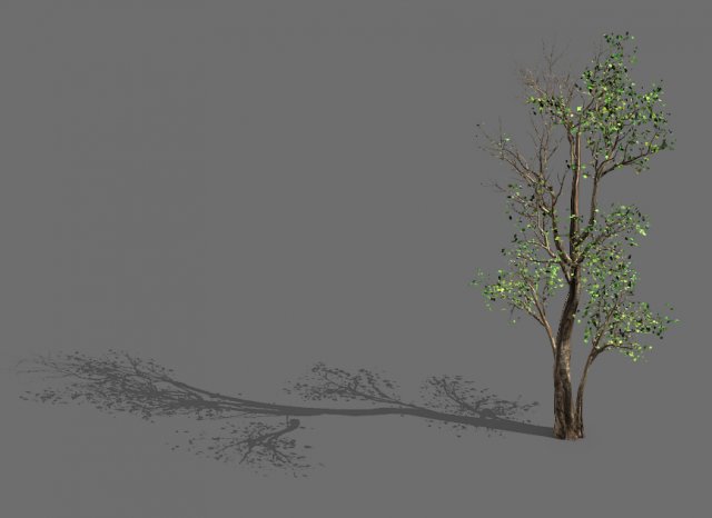 big tree-plant-wood 087 3D Модель .c4d .max .obj .3ds .fbx .stl .blend 