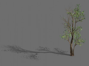 big tree-plant-wood 087 3D Model