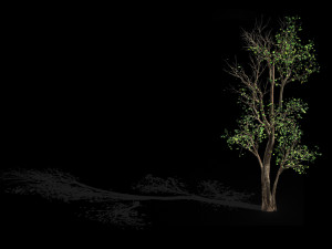 big tree-plant-wood 087 3D Модель
