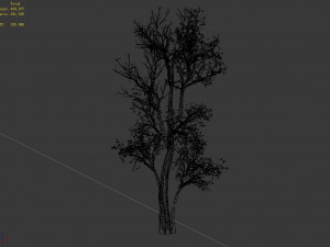 big tree-plant-wood 087 3D Модель