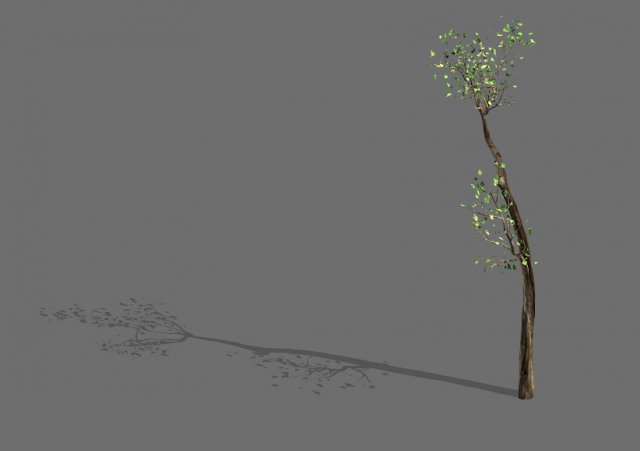 big tree-plant-wood 098 3D Модель .c4d .max .obj .3ds .fbx .stl .blend 