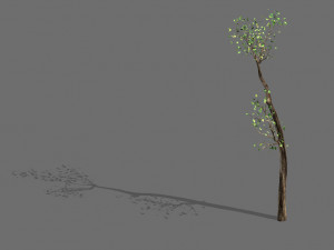 big tree-plant-wood 098 3D मॉडल