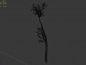 big tree-plant-wood 098 3D Model