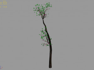big tree-plant-wood 098 3D Модель
