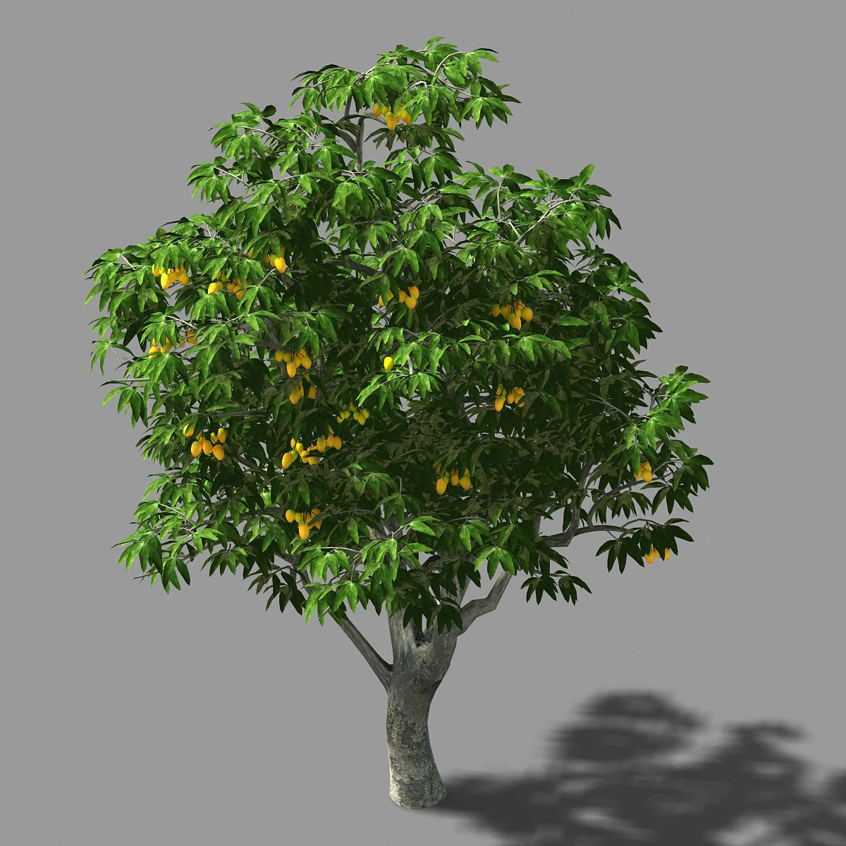 lilac garden-mango tree 01 3D Model .c4d .max .obj .3ds .fbx .stl .blend